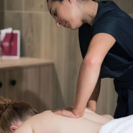 Golden Tulip Lyon Ouest Techlid &