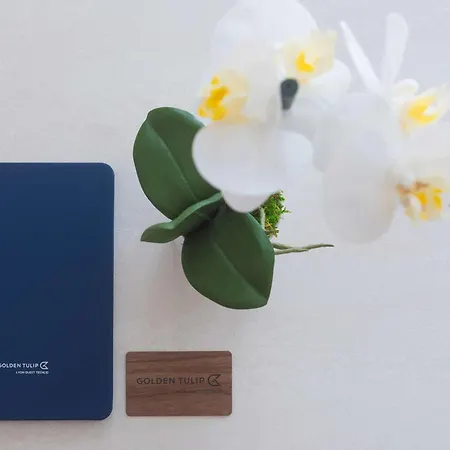 Golden Tulip Lyon Ouest Techlid & Limonest